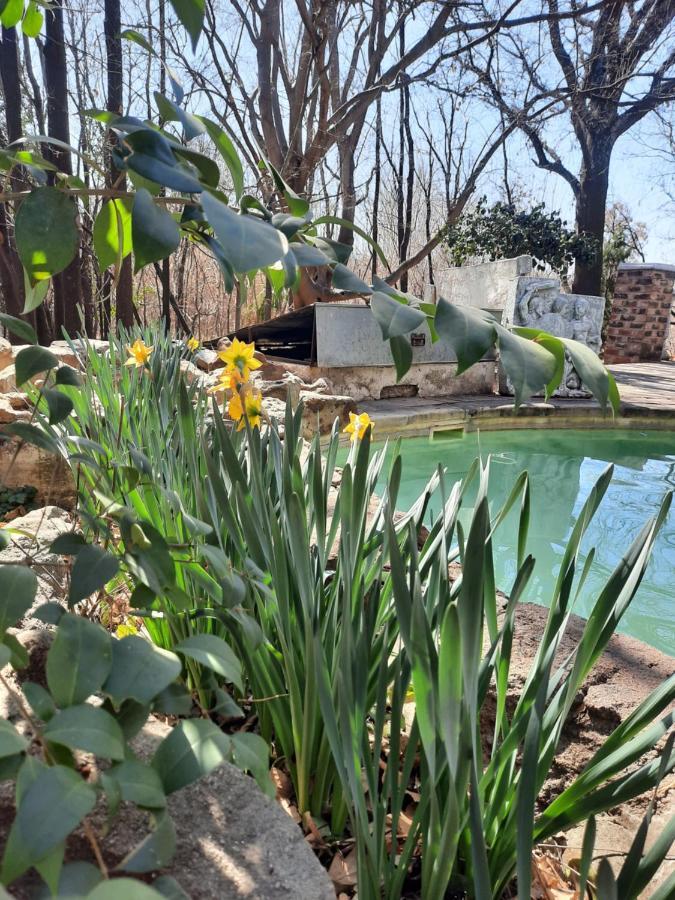 Arcadia Luxury Guesthouse Kroonstad Eksteriør billede